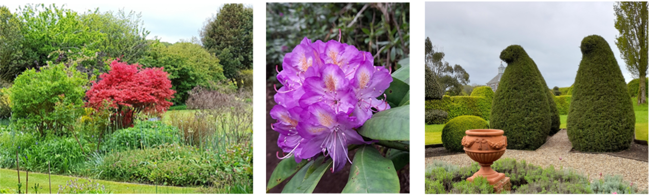 Open Parks and Gardens